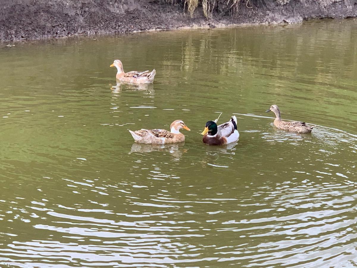 Agro Na Wapniarni Villa Biala  Dış mekan fotoğraf