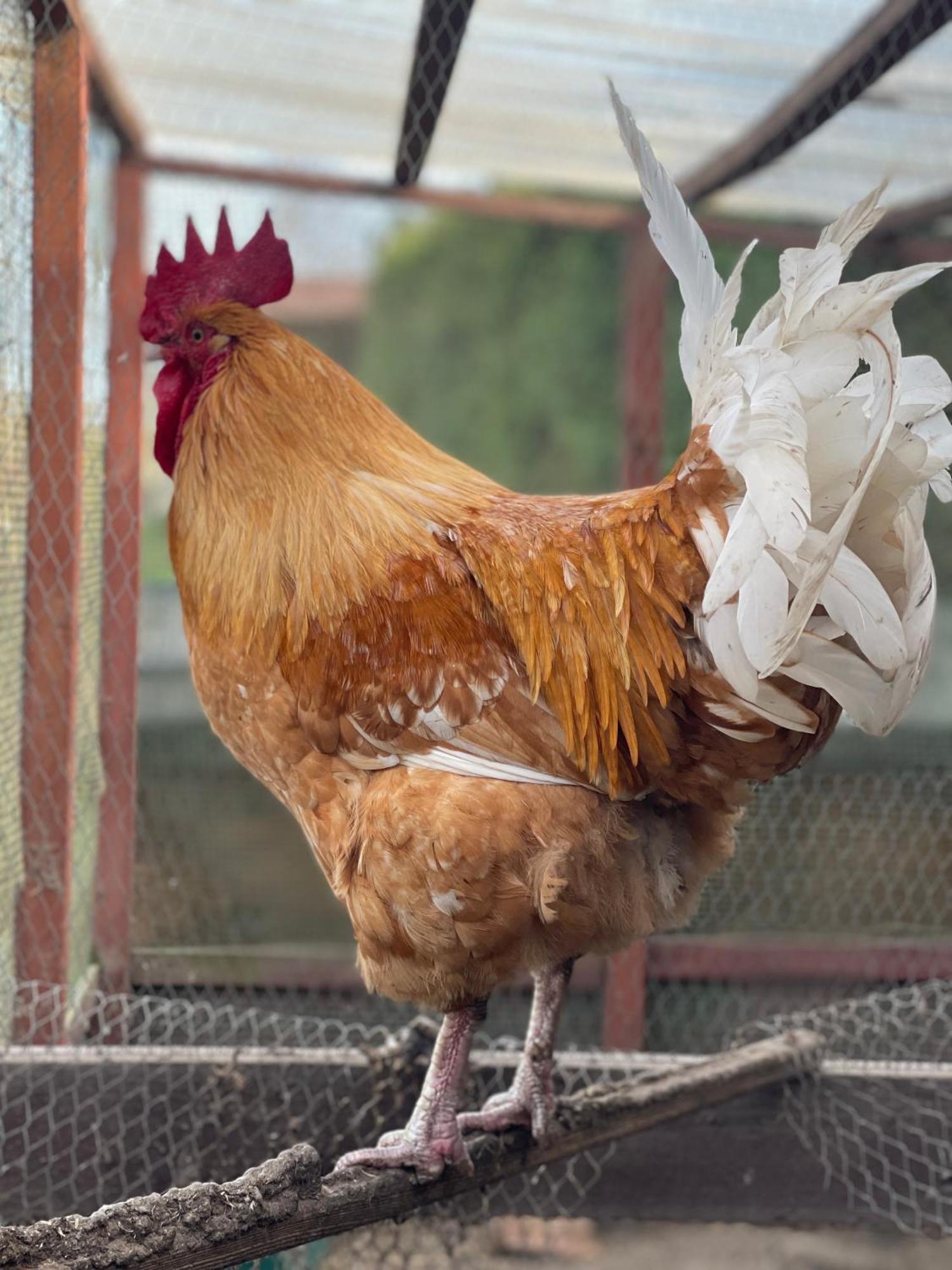 Agro Na Wapniarni Villa Biala  Dış mekan fotoğraf