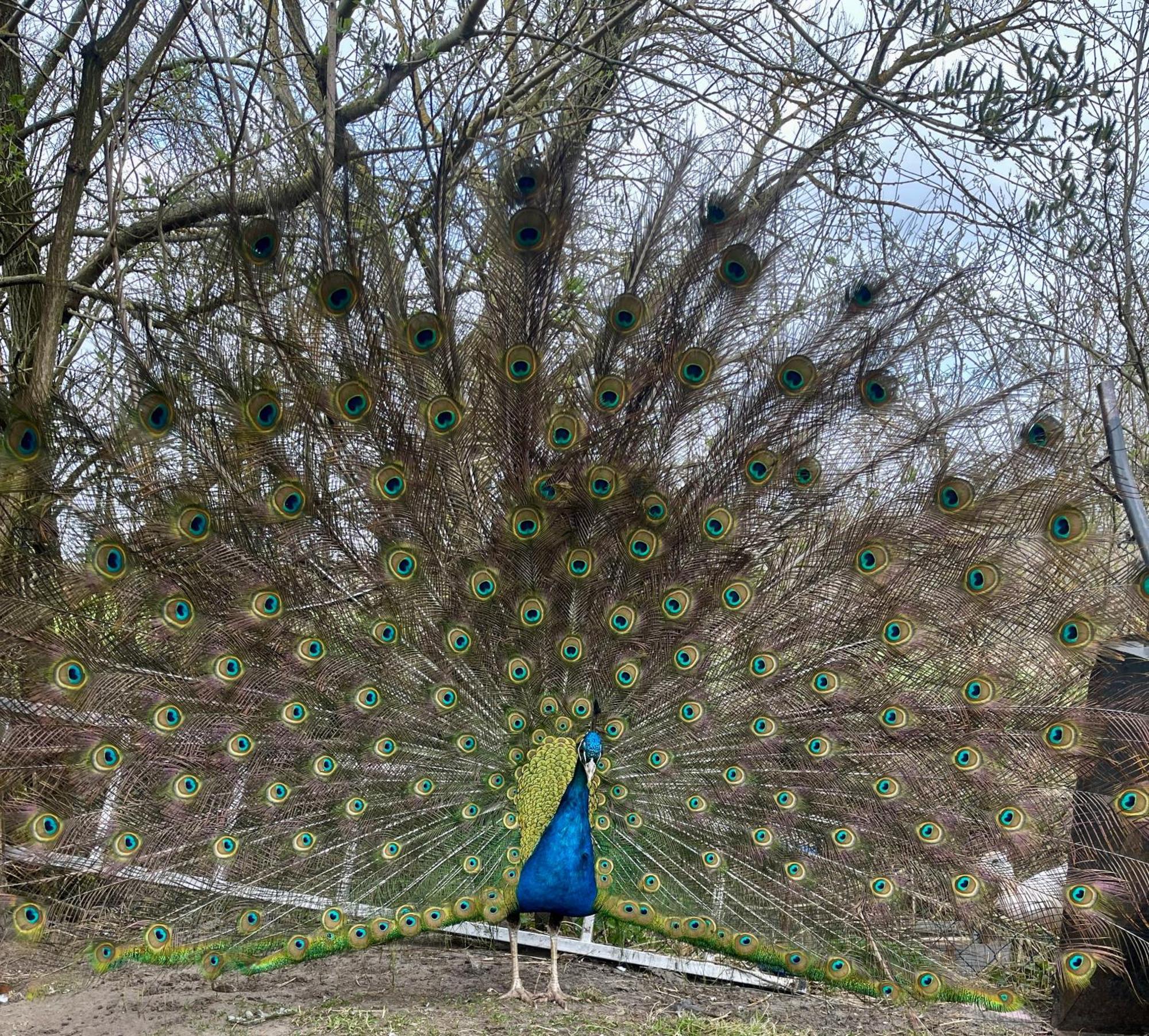 Agro Na Wapniarni Villa Biala  Dış mekan fotoğraf