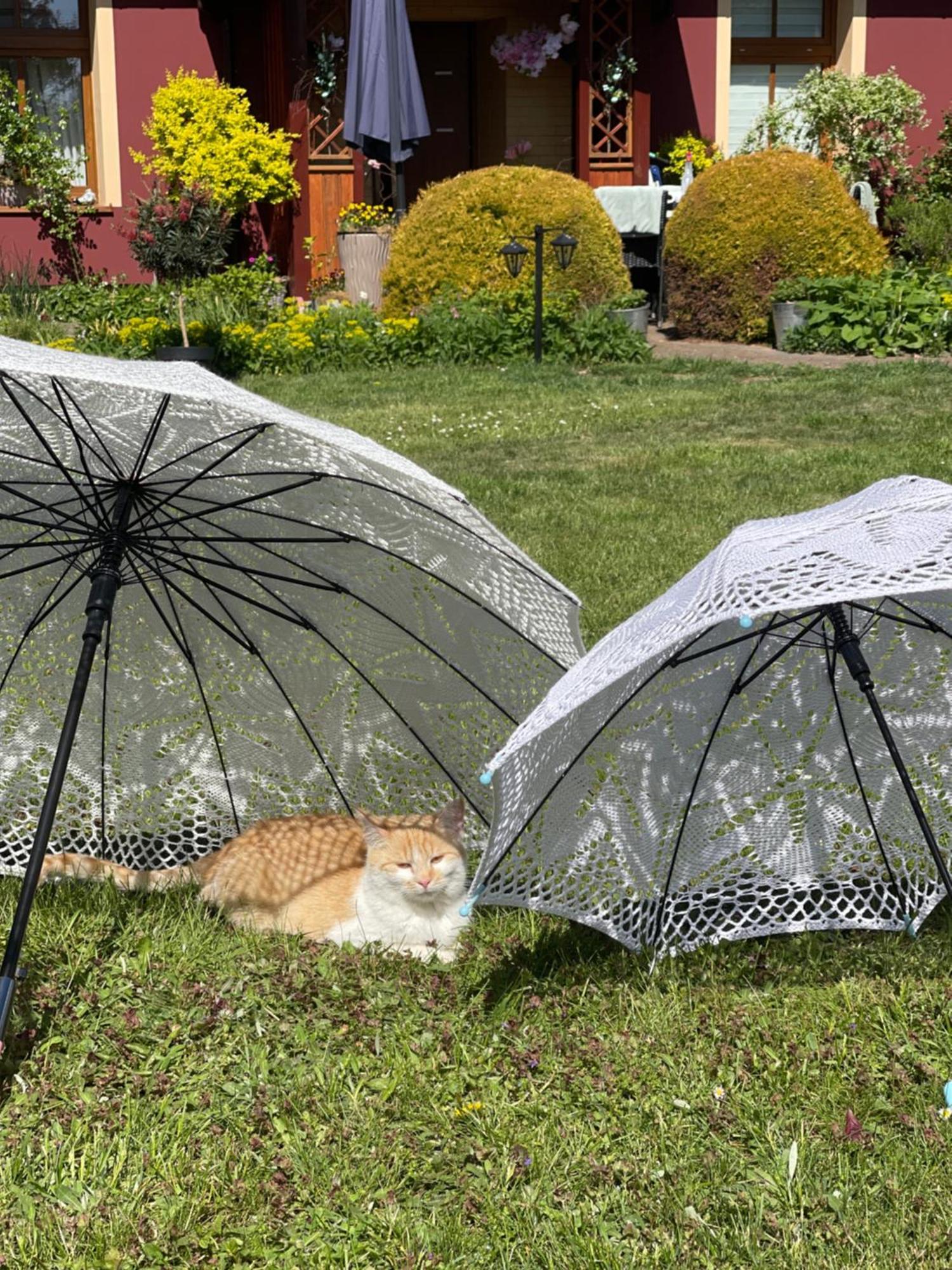 Agro Na Wapniarni Villa Biala  Dış mekan fotoğraf