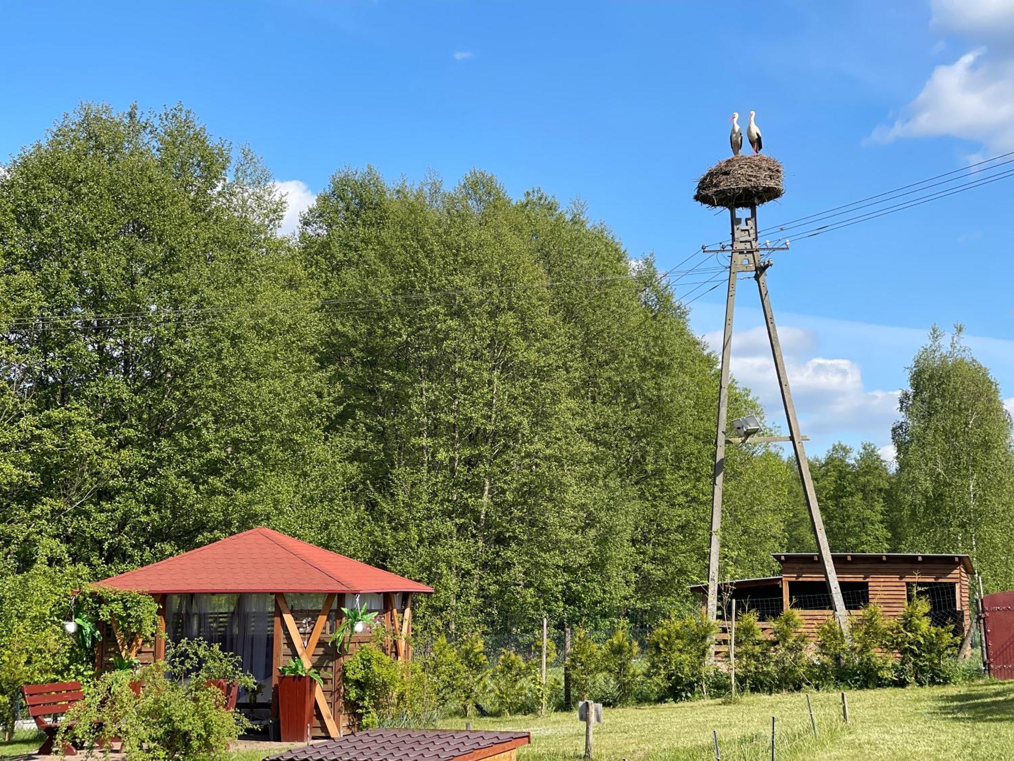 Agro Na Wapniarni Villa Biala  Dış mekan fotoğraf